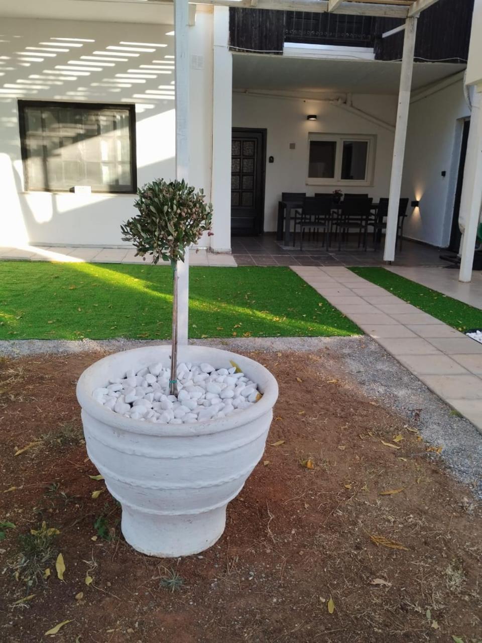 Black N' White Cozy Housegarden Alexandroupolis Exteriör bild